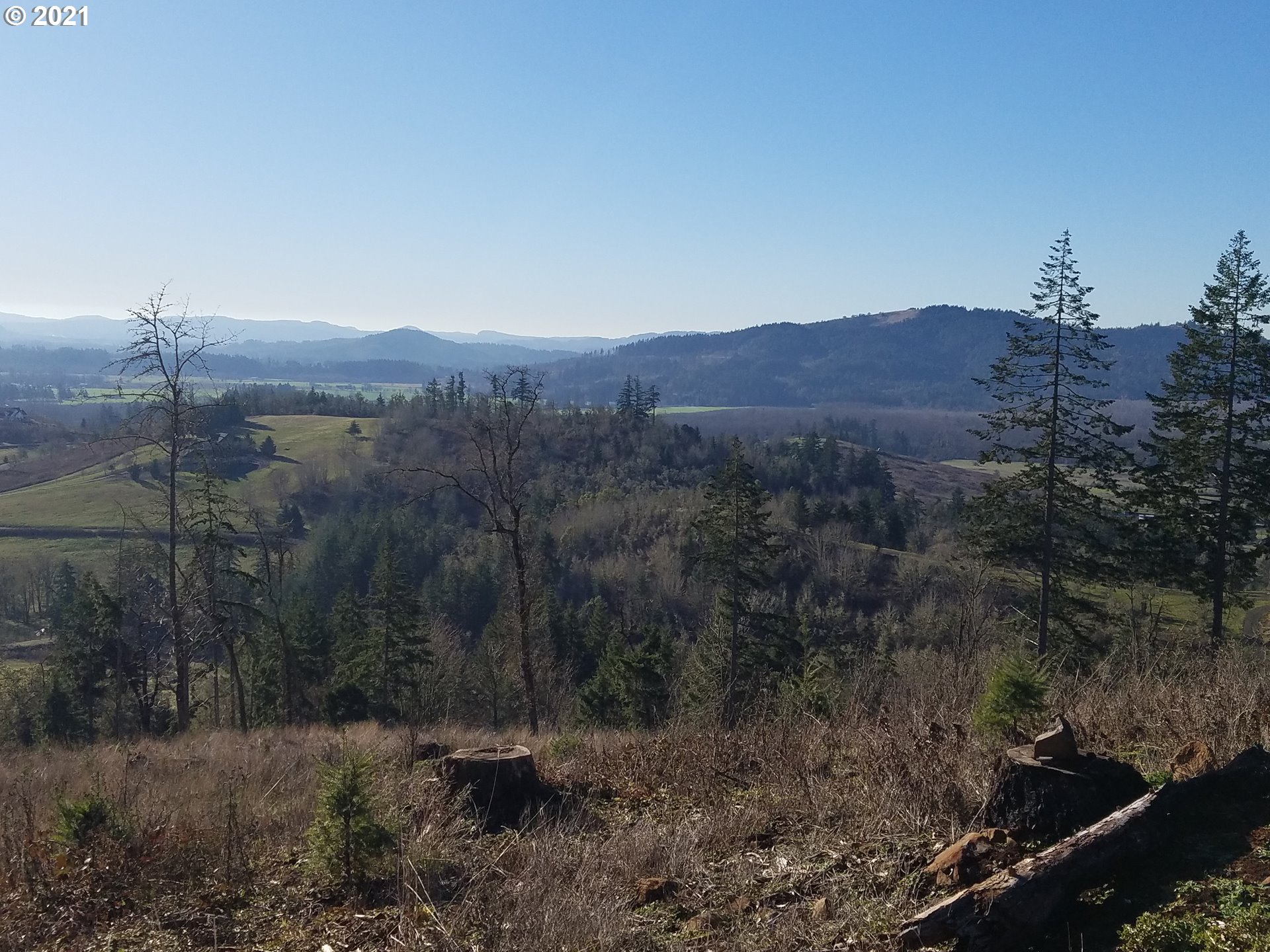 4 R R R.R. Baker Road Springfield, OR 97478 - Photo 12 of 32