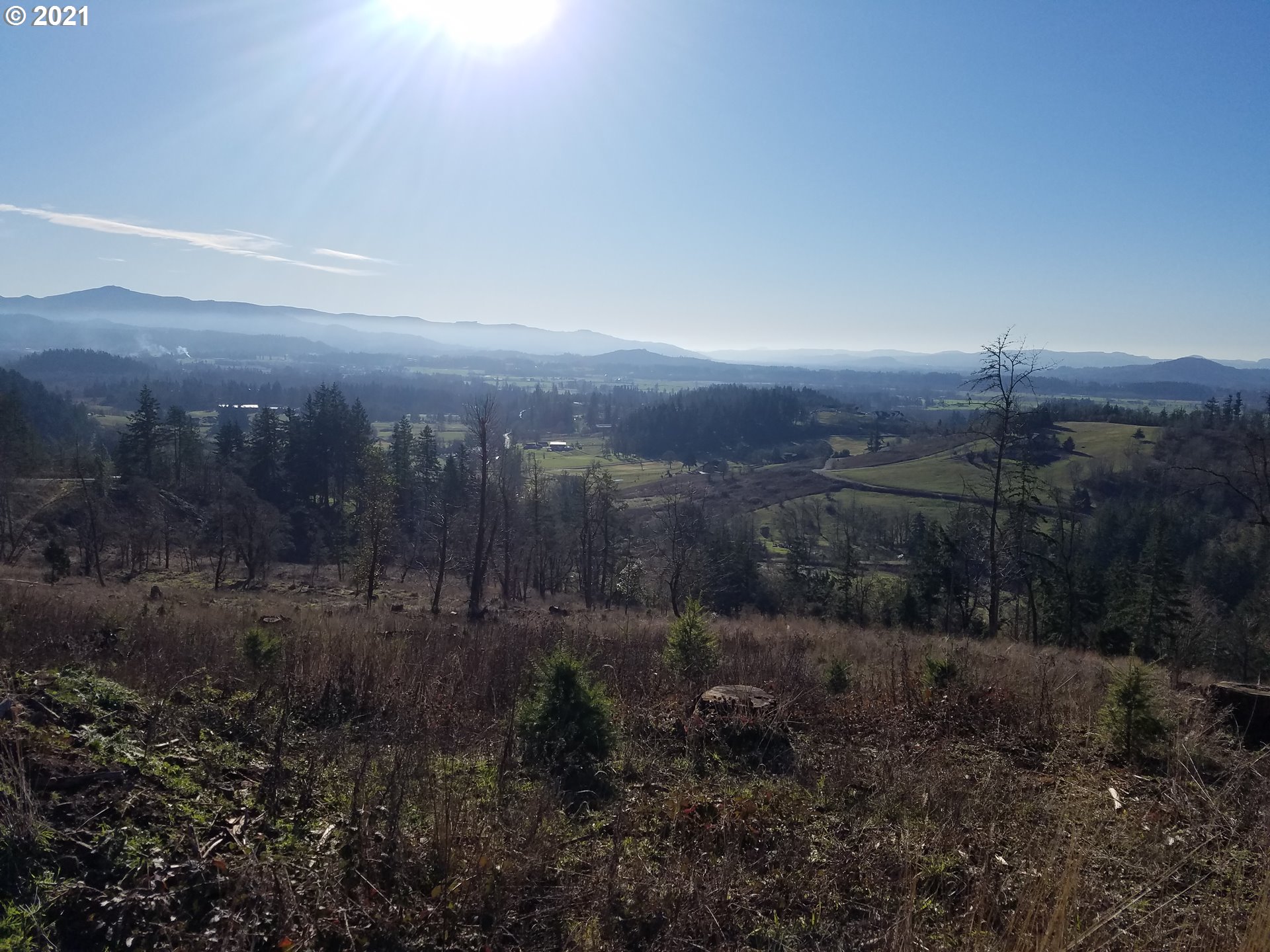 4 R R R.R. Baker Road Springfield, OR 97478 - Photo 13 of 32