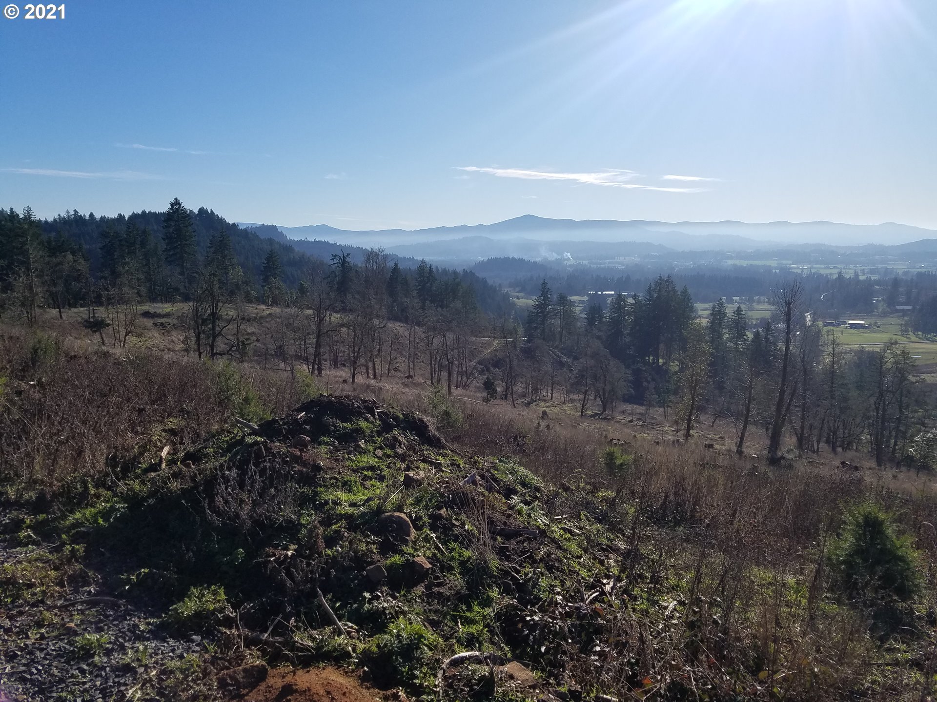 4 R R R.R. Baker Road Springfield, OR 97478 - Photo 14 of 32