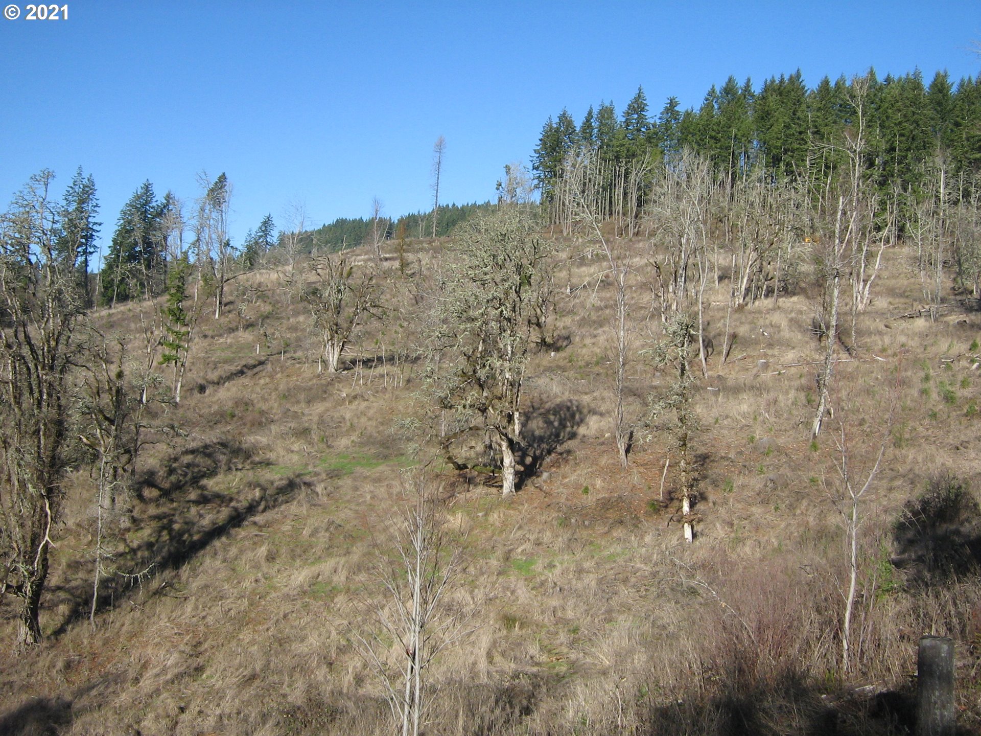 4 R R R.R. Baker Road Springfield, OR 97478 - Photo 15 of 32