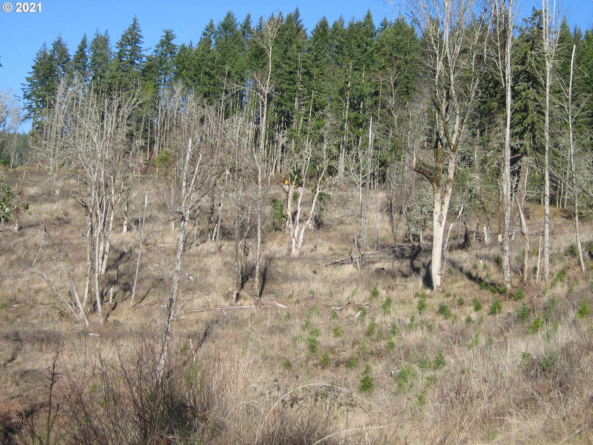 4 R R R.R. Baker Road Springfield, OR 97478 - Photo 16 of 32