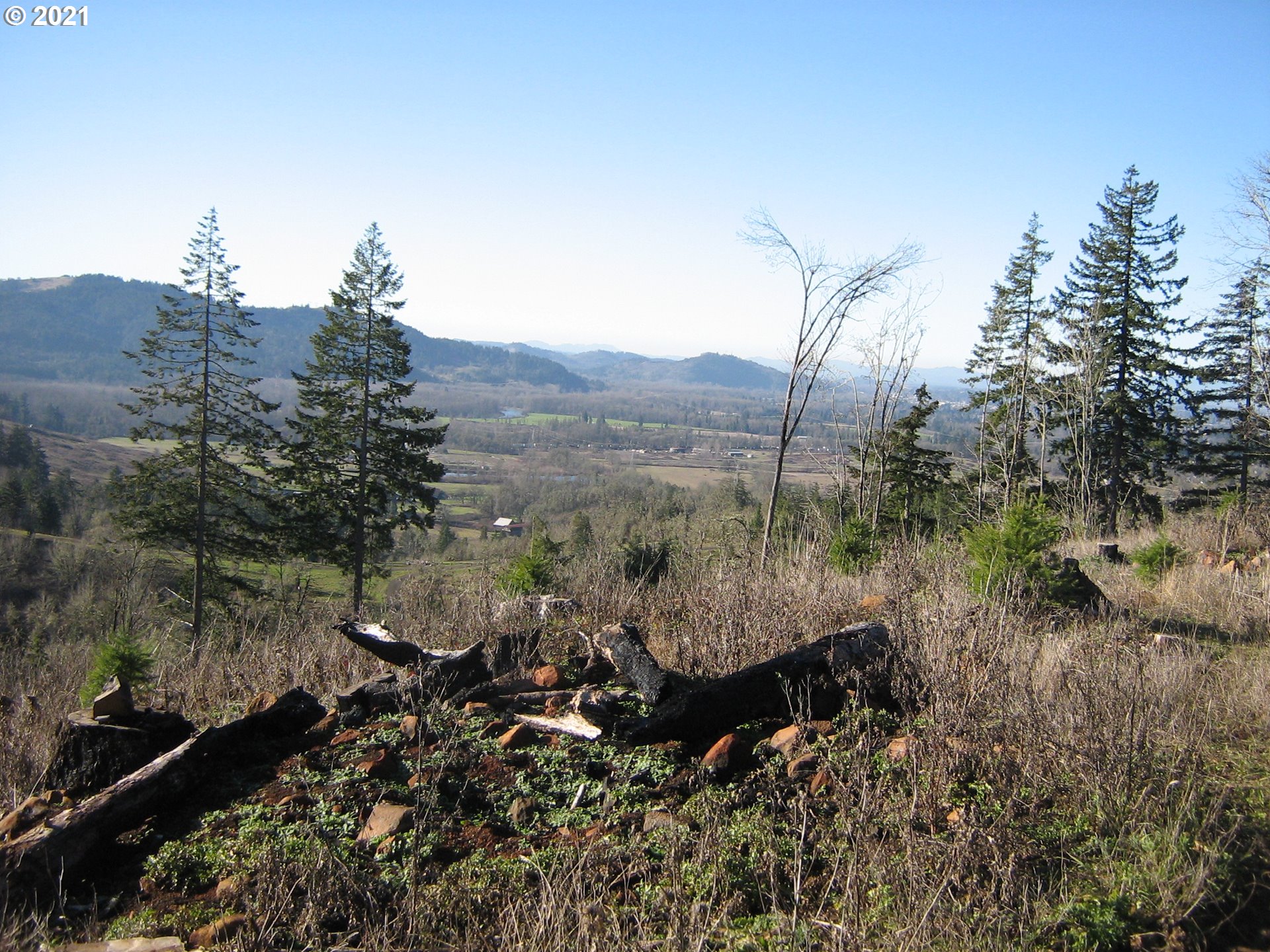 4 R R R.R. Baker Road Springfield, OR 97478 - Photo 19 of 32