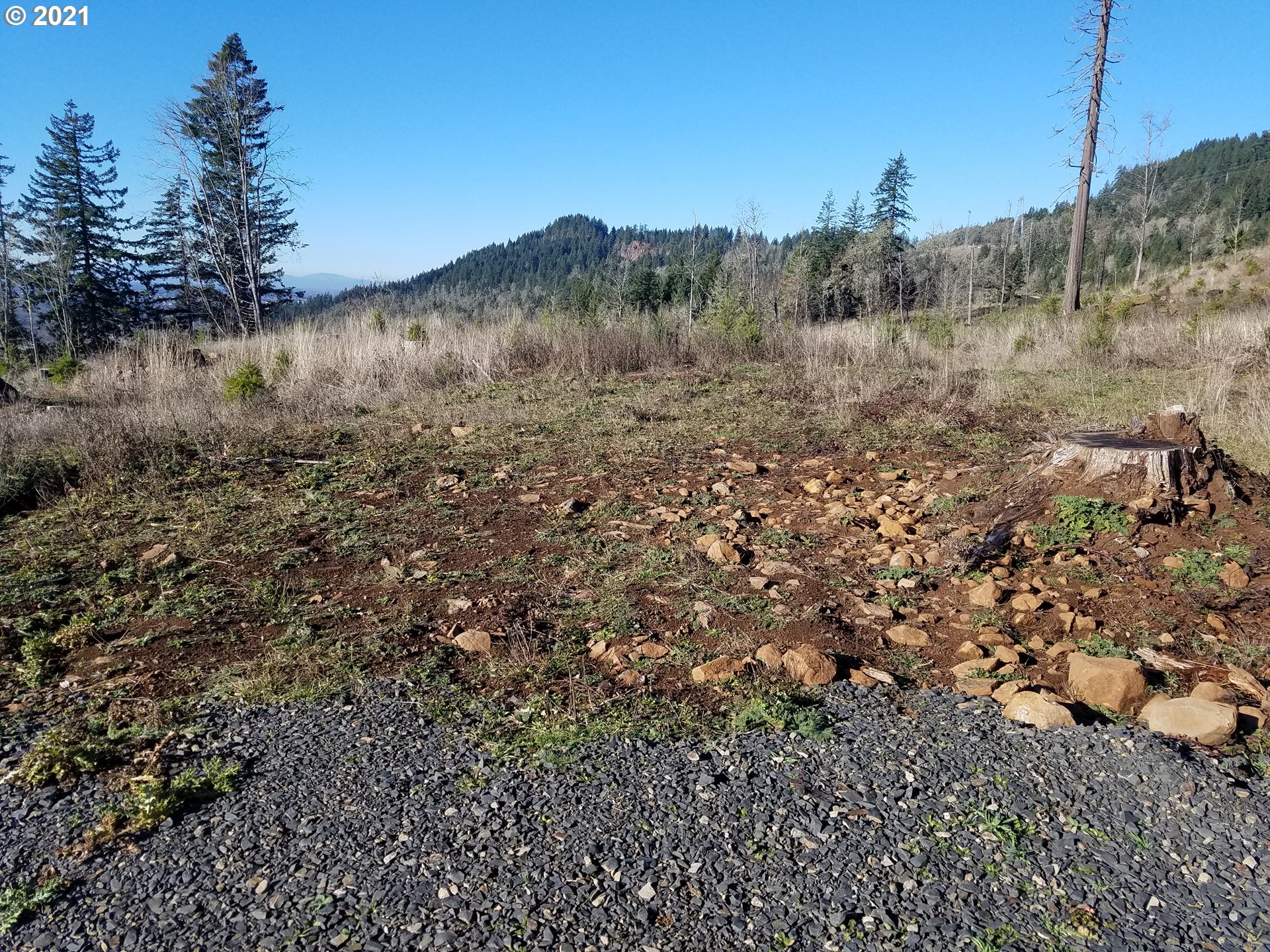 4 R R R.R. Baker Road Springfield, OR 97478 - Photo 3 of 32