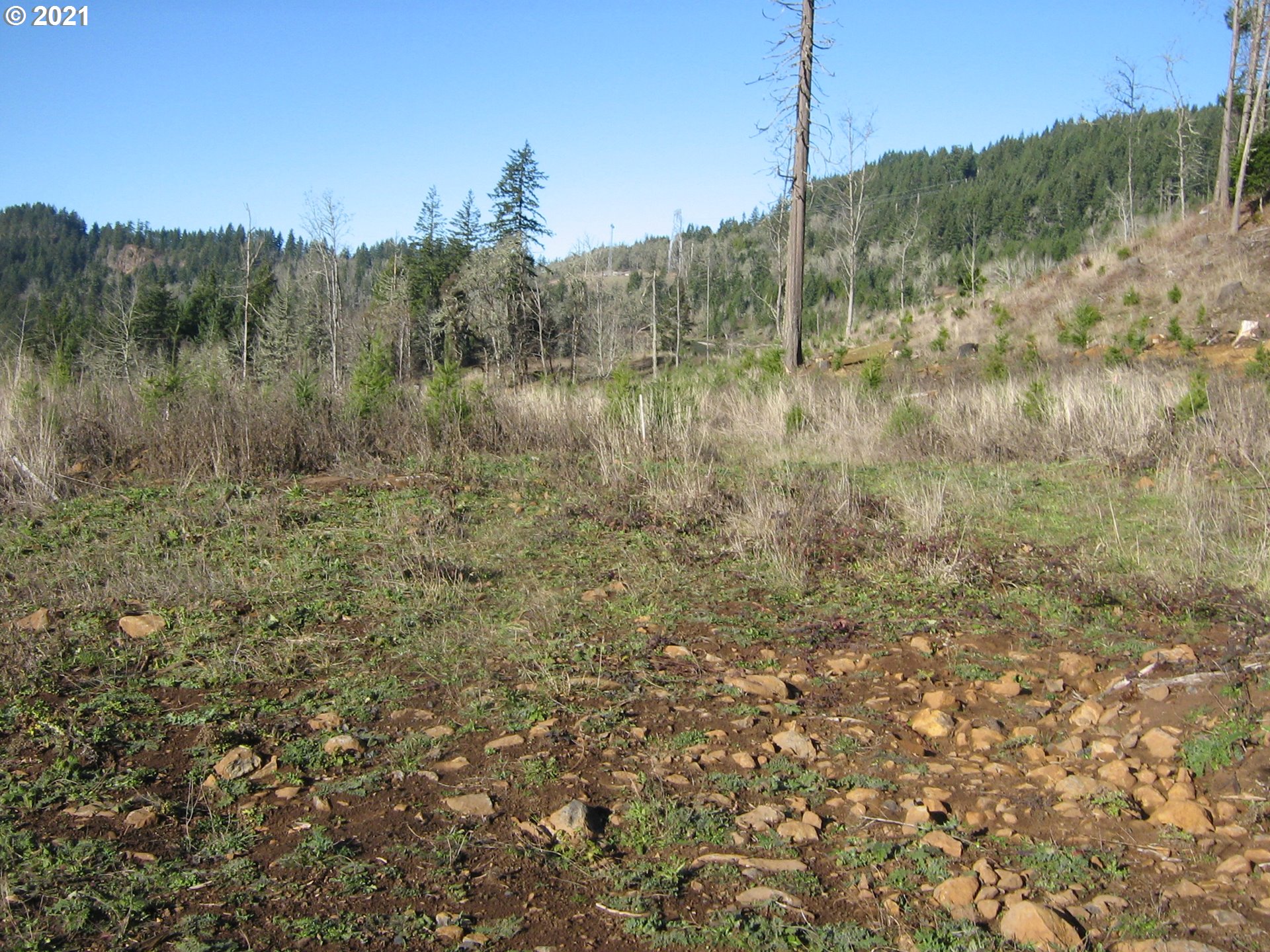 4 R R R.R. Baker Road Springfield, OR 97478 - Photo 21 of 32