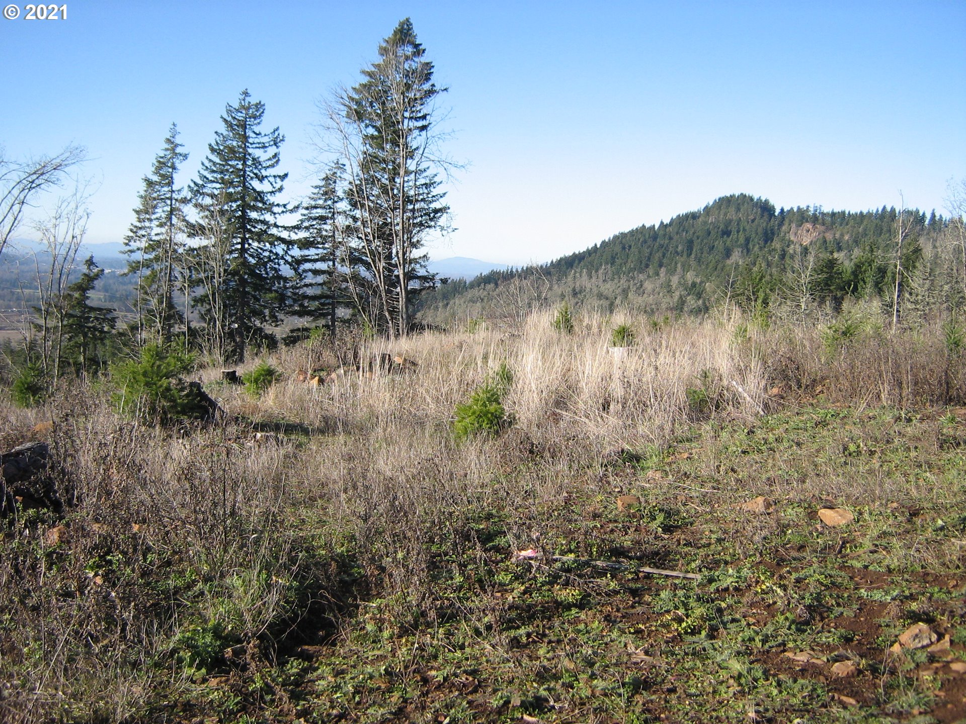 4 R R R.R. Baker Road Springfield, OR 97478 - Photo 22 of 32