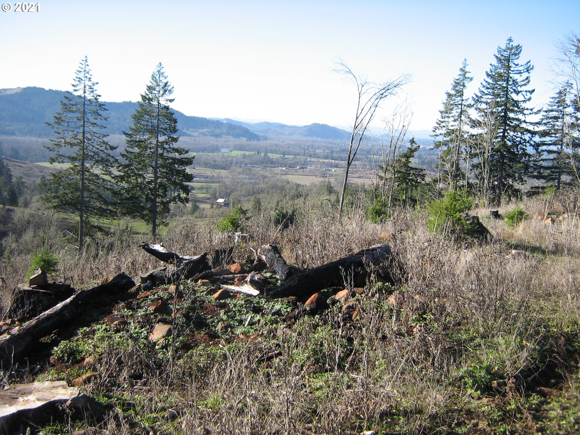 4 R R R.R. Baker Road Springfield, OR 97478 - Photo 23 of 32