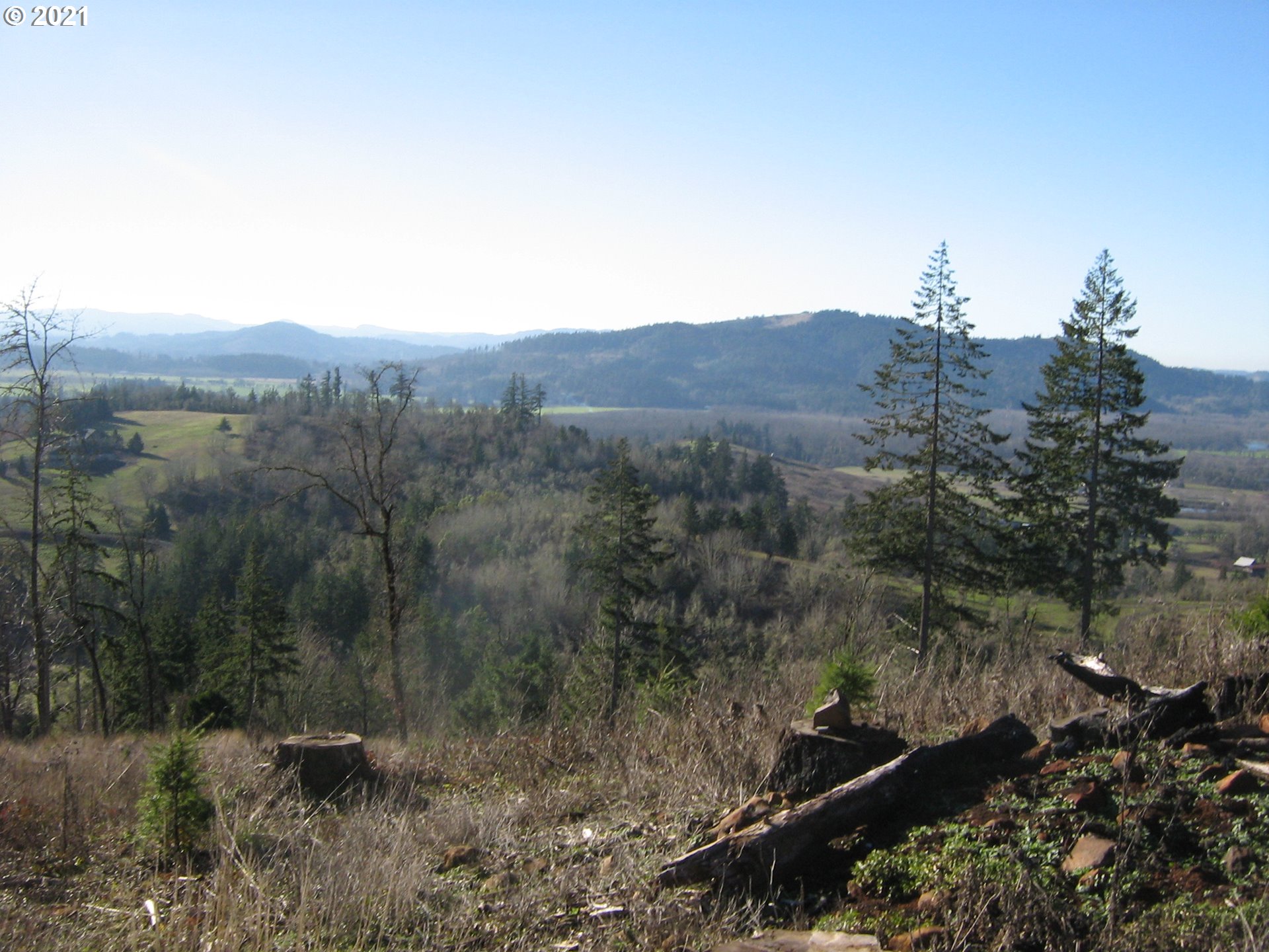 4 R R R.R. Baker Road Springfield, OR 97478 - Photo 24 of 32
