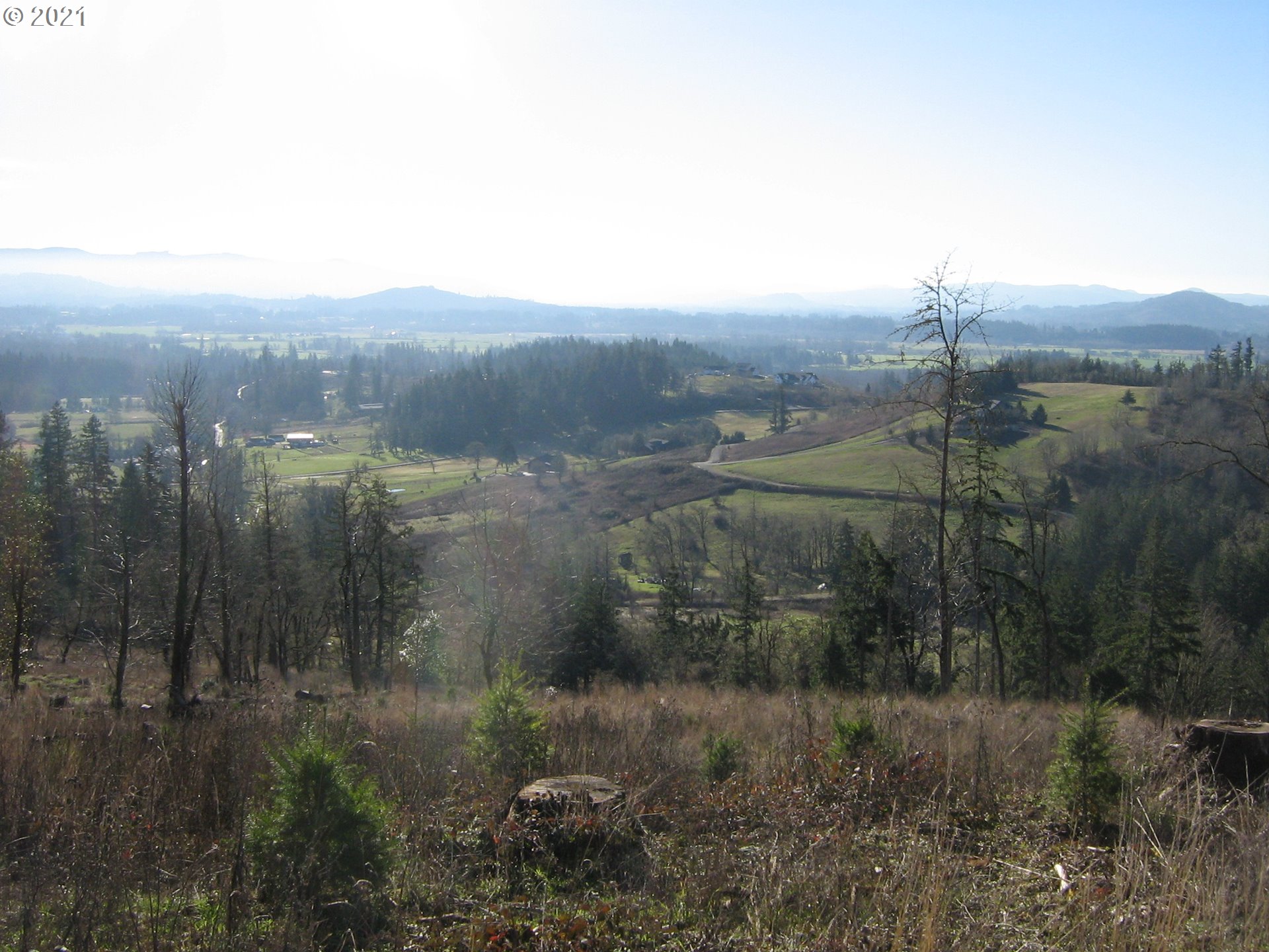 4 R R R.R. Baker Road Springfield, OR 97478 - Photo 25 of 32