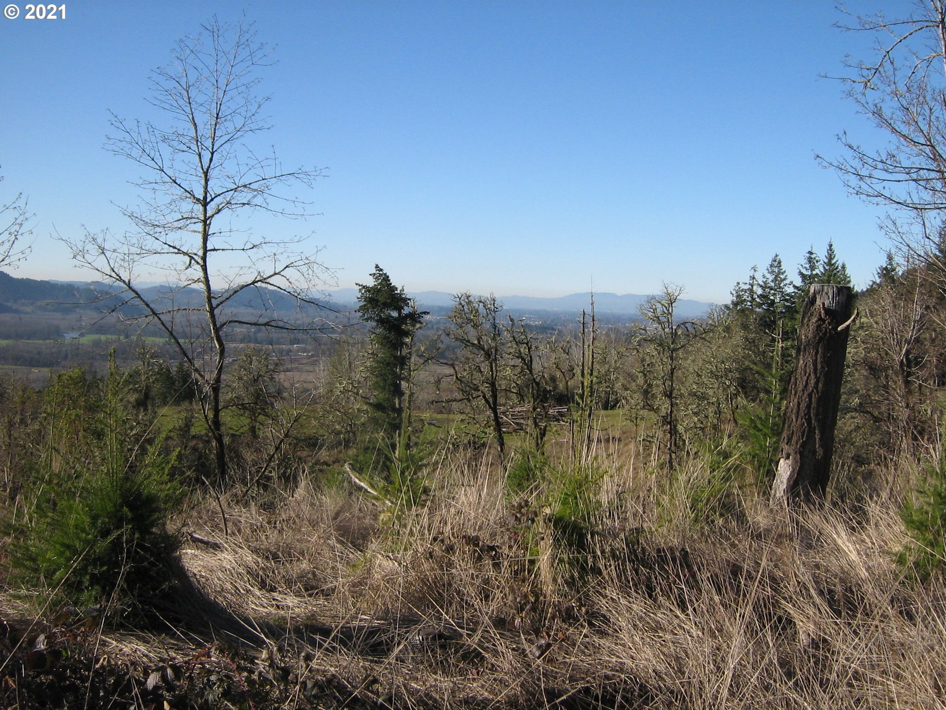 4 R R R.R. Baker Road Springfield, OR 97478 - Photo 28 of 32