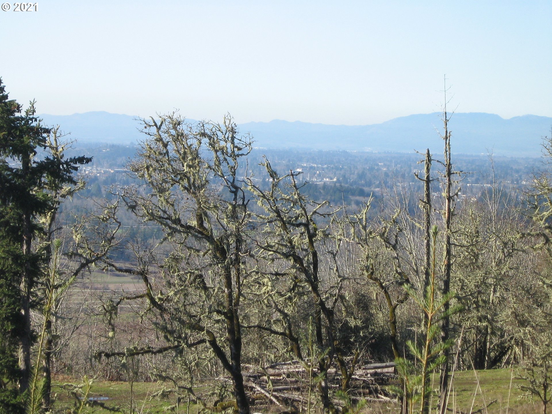4 R R R.R. Baker Road Springfield, OR 97478 - Photo 29 of 32