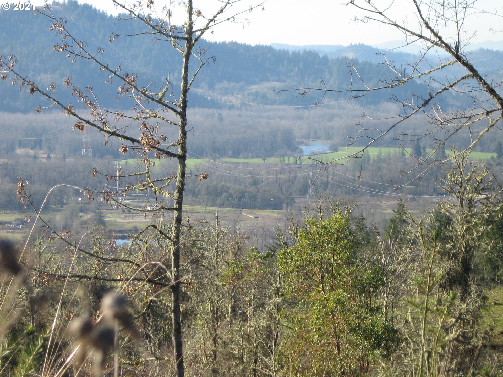 4 R R R.R. Baker Road Springfield, OR 97478 - Photo 30 of 32