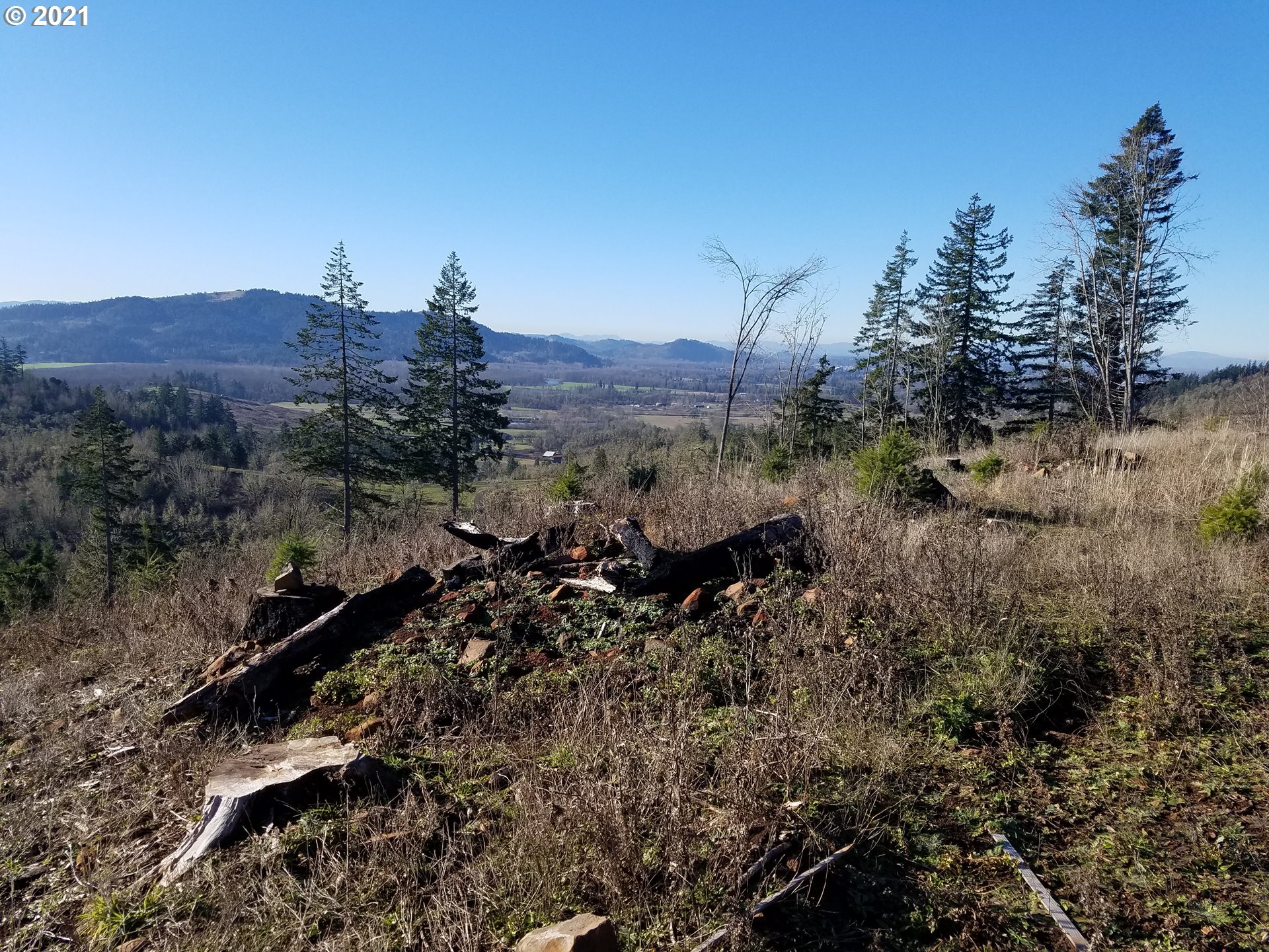 4 R R R.R. Baker Road Springfield, OR 97478 - Photo 4 of 32