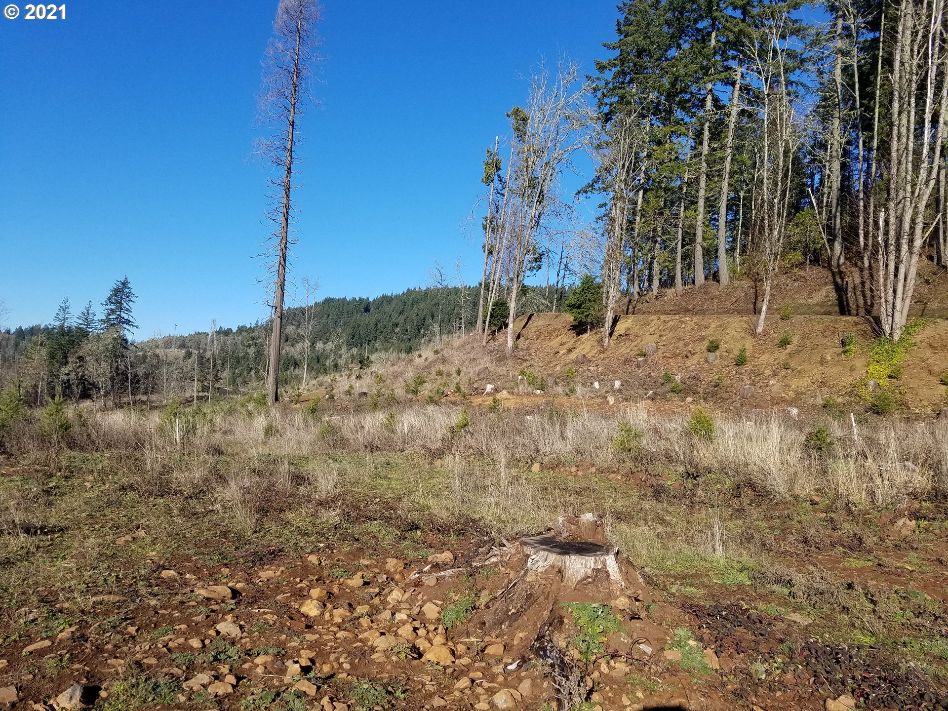 4 R R R.R. Baker Road Springfield, OR 97478 - Photo 5 of 32