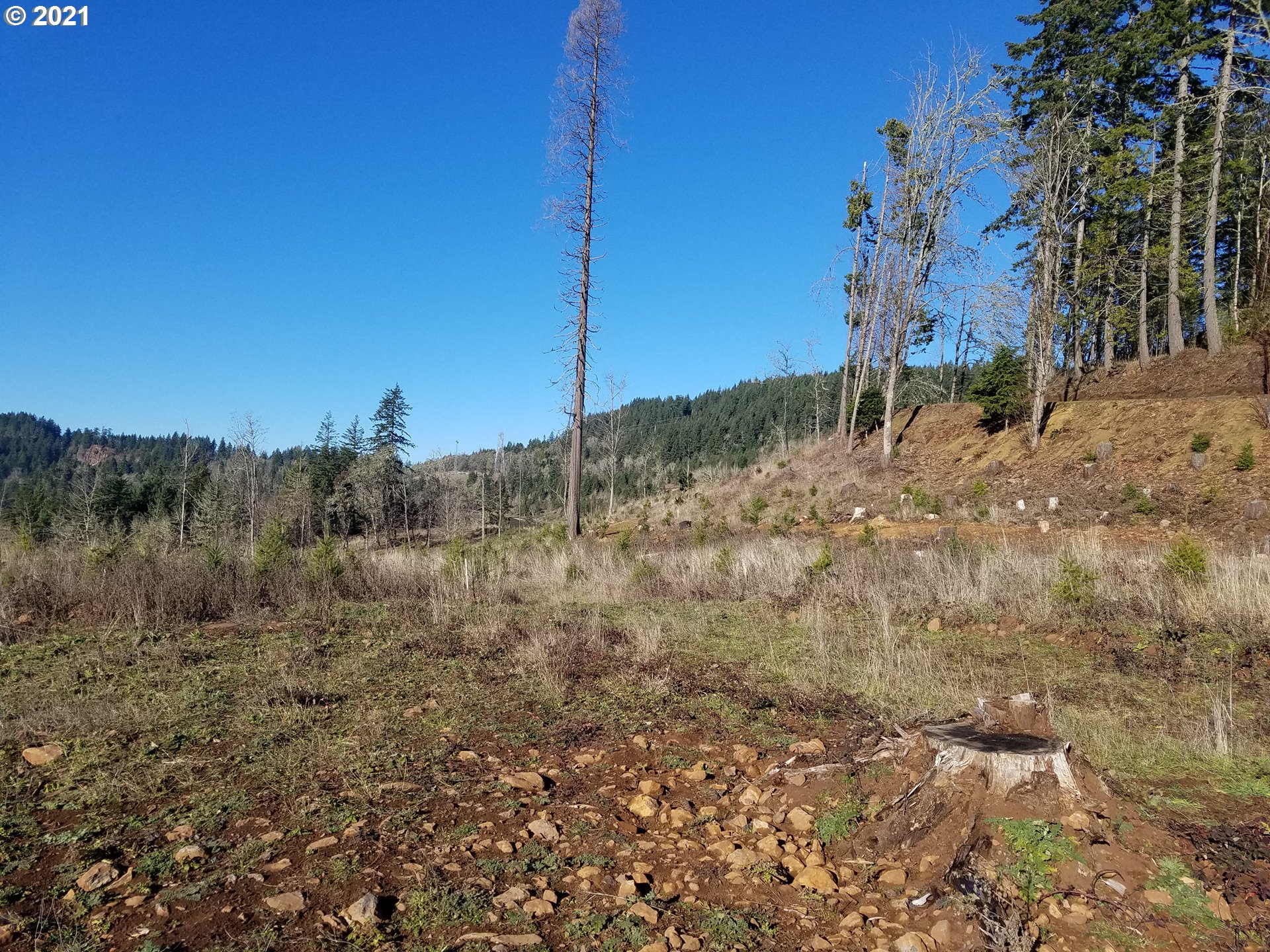4 R R R.R. Baker Road Springfield, OR 97478 - Photo 6 of 32