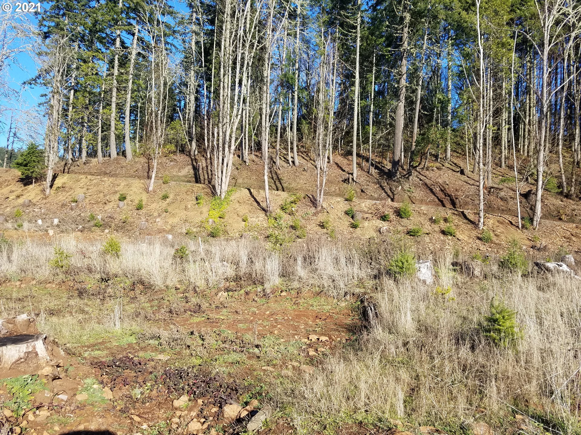 4 R R R.R. Baker Road Springfield, OR 97478 - Photo 7 of 32
