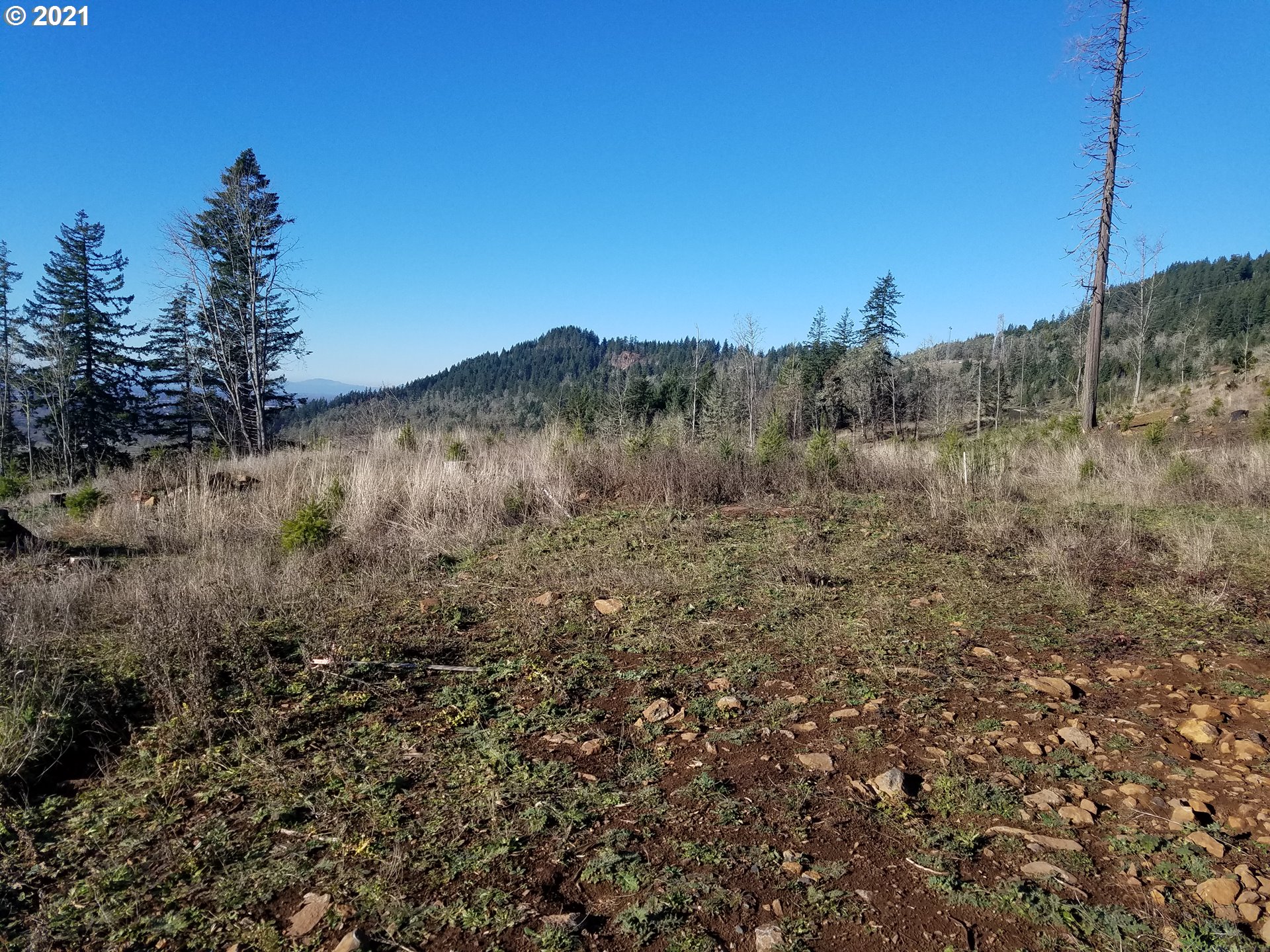 4 R R R.R. Baker Road Springfield, OR 97478 - Photo 8 of 32