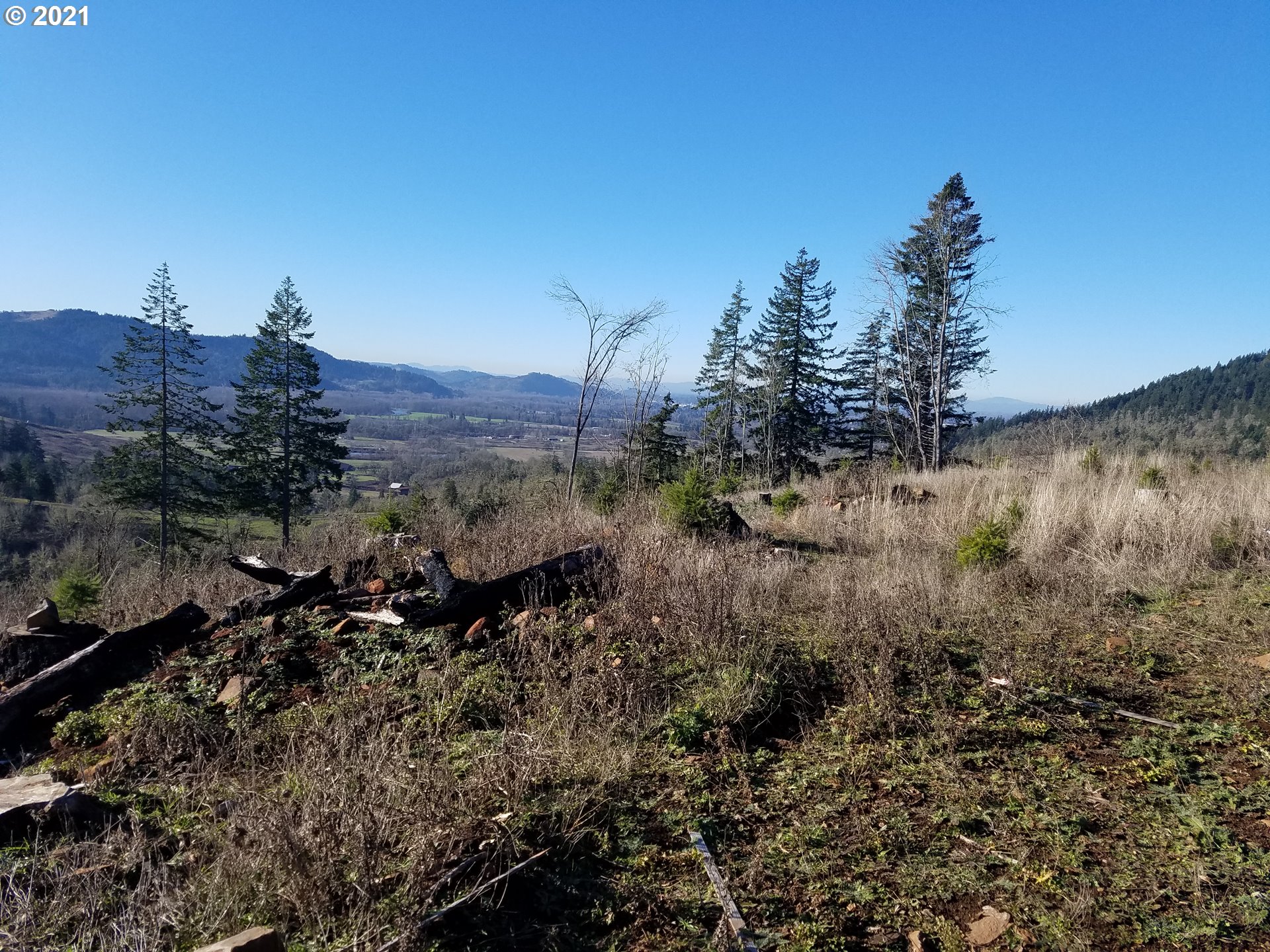 4 R R R.R. Baker Road Springfield, OR 97478 - Photo 9 of 32