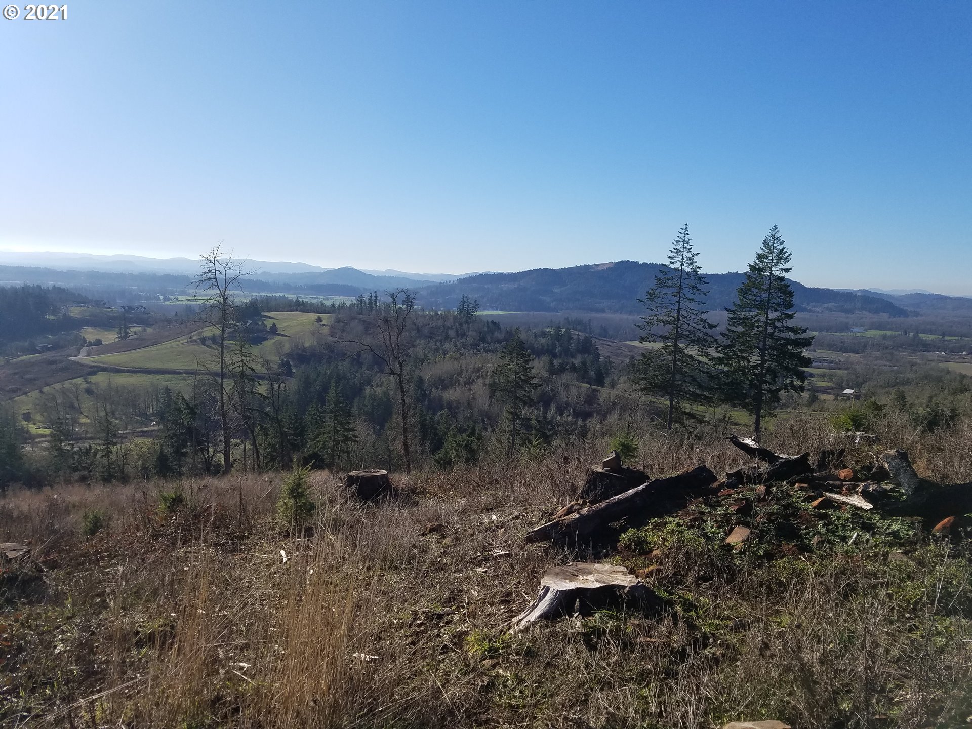4 R R R.R. Baker Road Springfield, OR 97478 - Photo 10 of 32