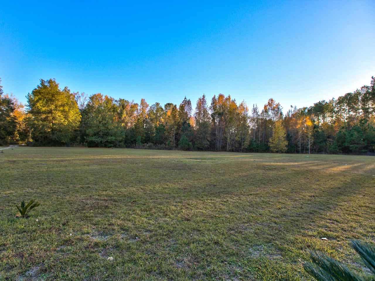 12998 Capitola Road Tallahassee, FL 32317 - Photo 2 of 28 Gallery Image 2