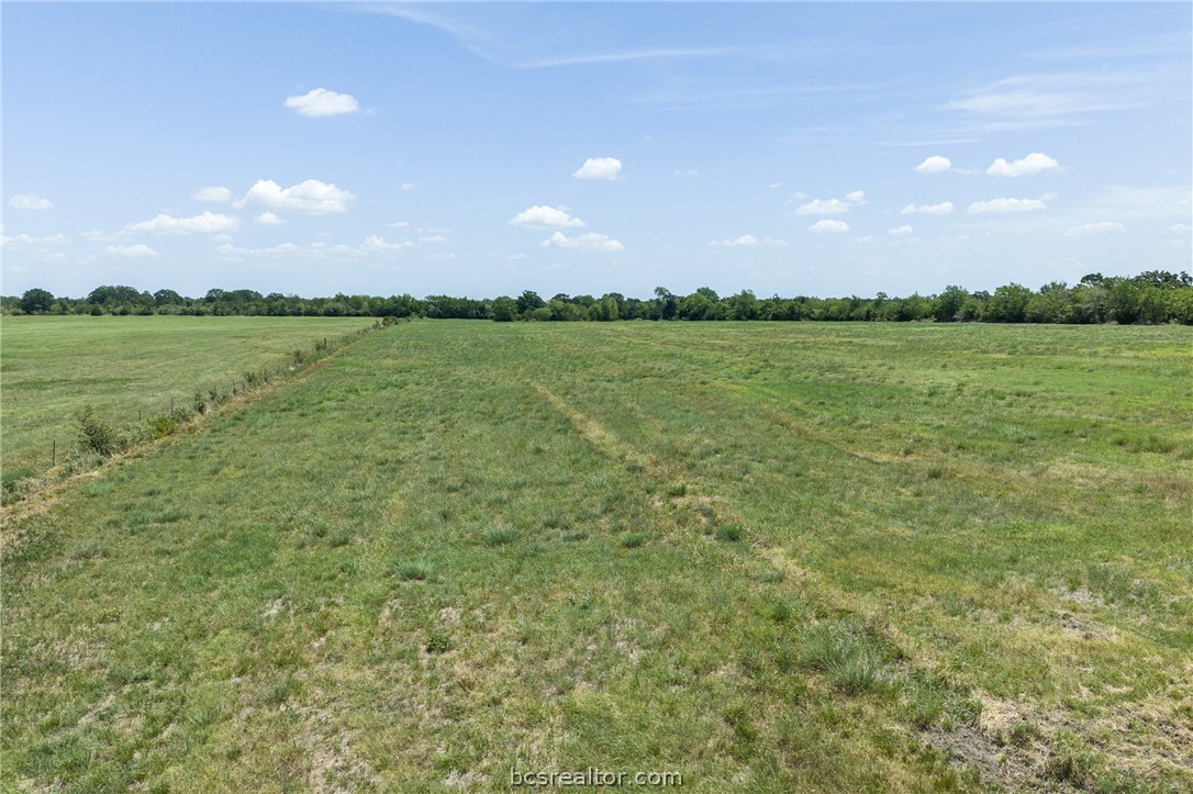 3675 Zulch Road North Zulch, TX 77872 - Photo 18 of 21 Gallery Image 18