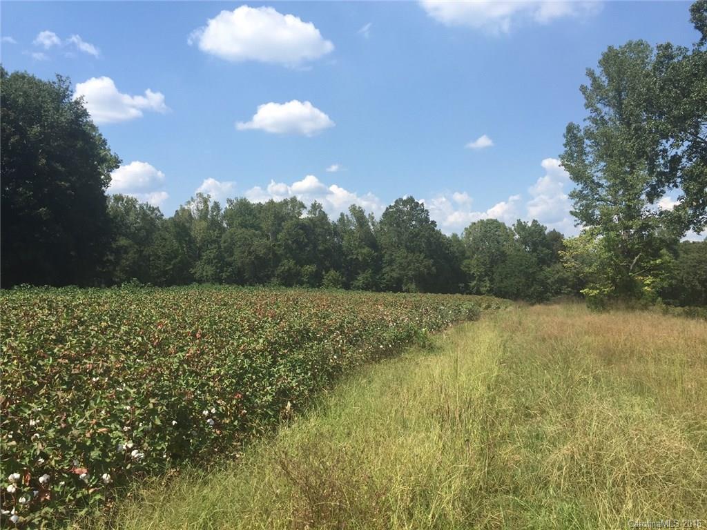0 Reeves Island Road Richfield, NC 28137 - Photo 11 of 17 Gallery Image 11