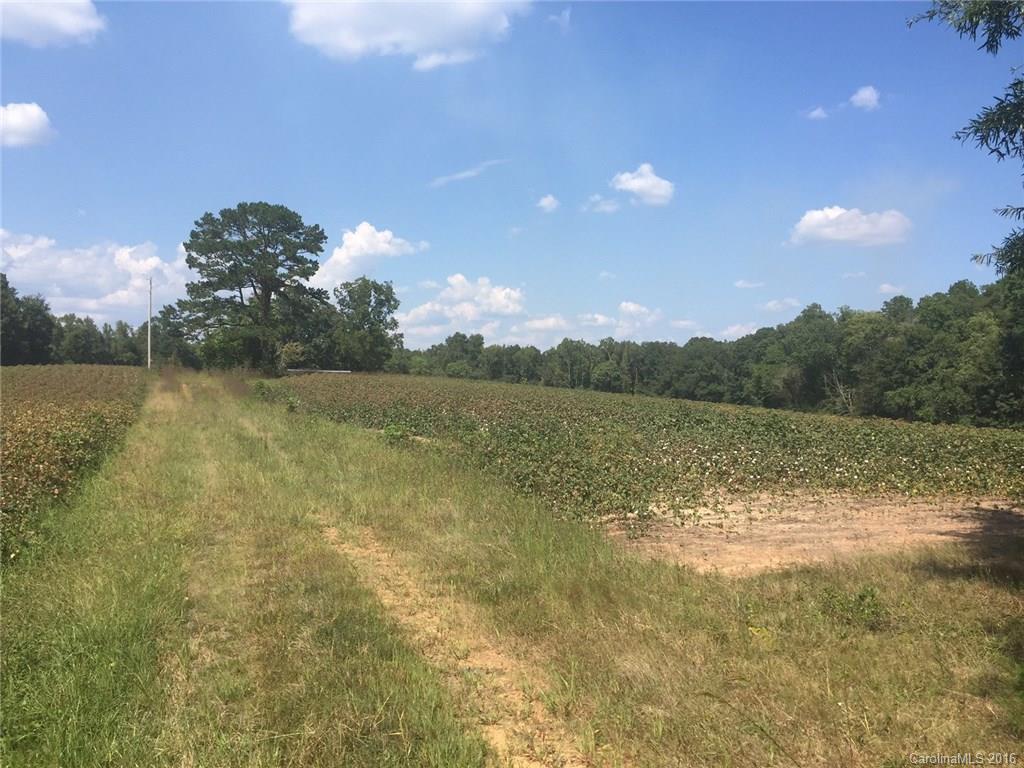 0 Reeves Island Road Richfield, NC 28137 - Photo 4 of 17 Gallery Image 4