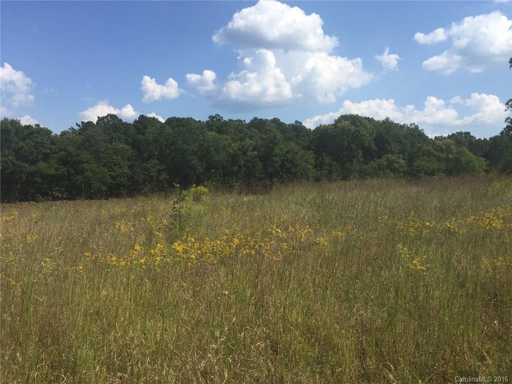 0 Reeves Island Road Richfield, NC 28137 - Photo 10 of 17 Gallery Image 10