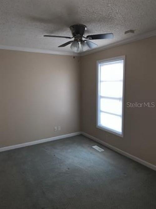 2905 Southwest Archer Road, Unit P4012 Gainesville, FL 32608 - Photo 5 of 10