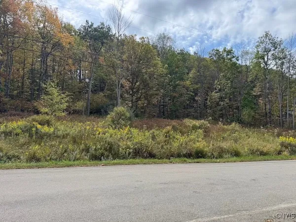 $8,700 | Sherlock Hollow Road, Hinsdale, NY 14743