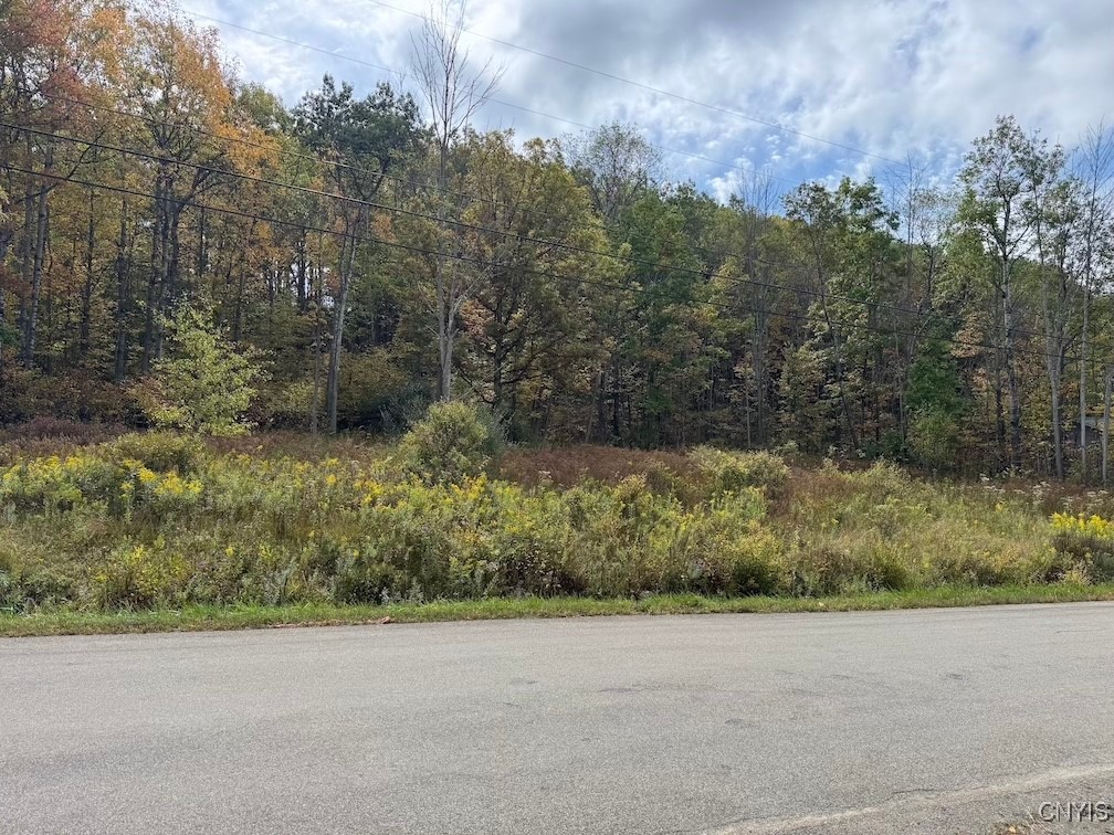 Sherlock Hollow Road Hinsdale, NY 14743 - Photo 1 of 1