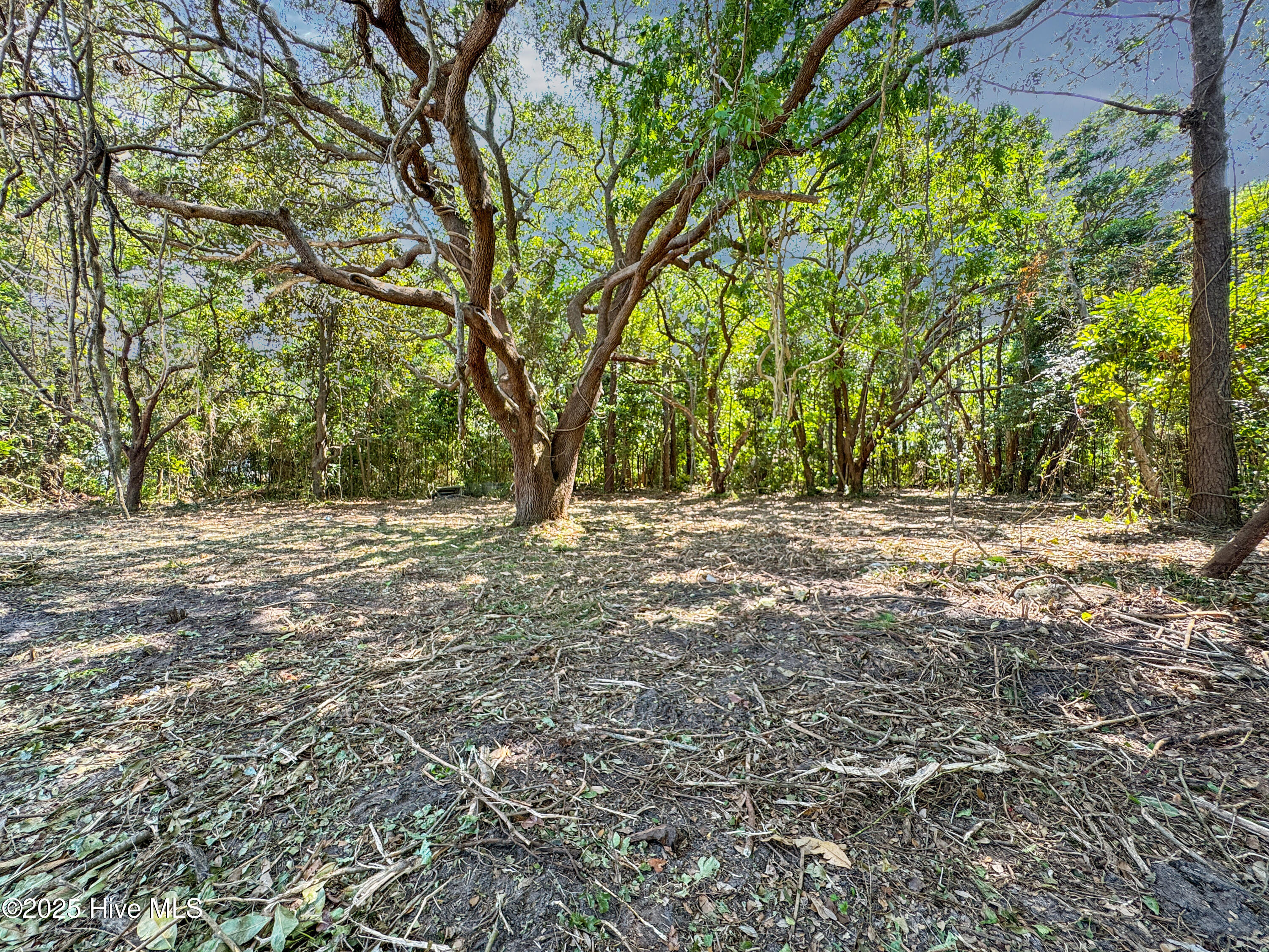 1128-2 Beasley Road Wilmington, NC 28409 - Photo 7 of 14 7852036836f92184382987f1fd9a46ede978bd2e