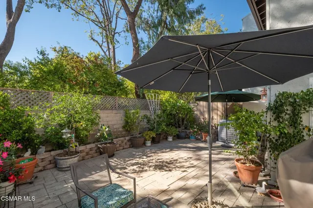 a view of a backyard with potted plants