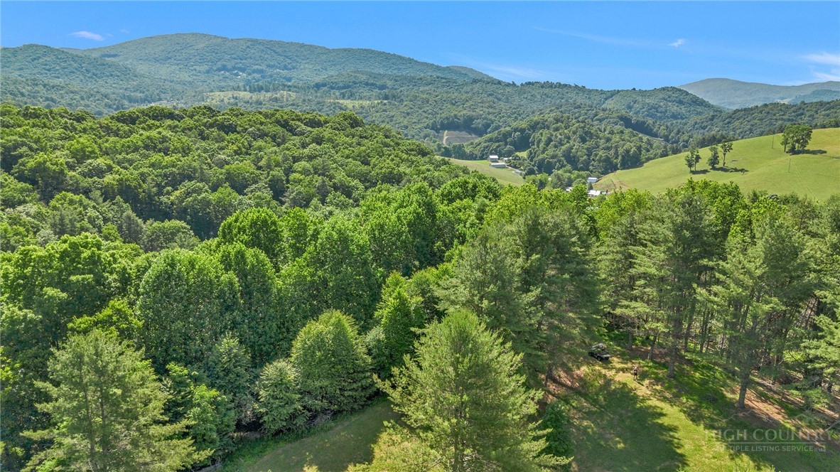 1324 Ripshin Road Troutdale, VA 24378 - Photo 48 of 48