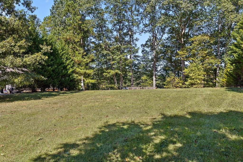300 Sam Johnson Road Georgetown, TN 37336 - Photo 14 of 26 Gallery Image 14