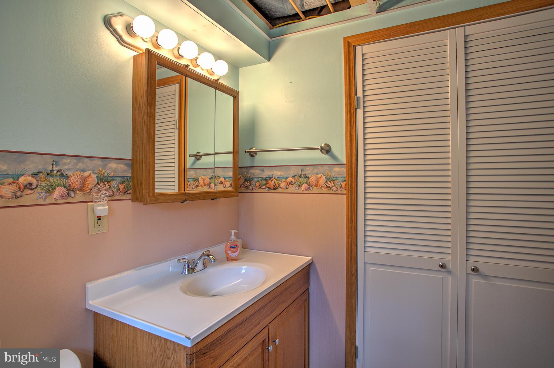 259 Church Road Mohnton, PA 19540 - Photo 21 of 26 Lower Level Powder Room