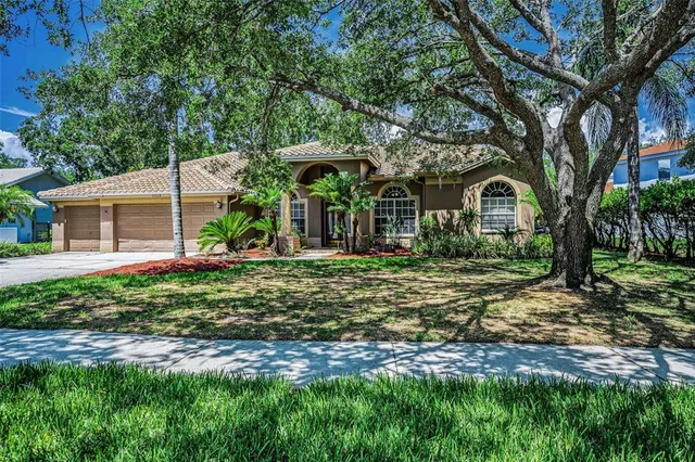 a view of a chair and table in backyard of the house