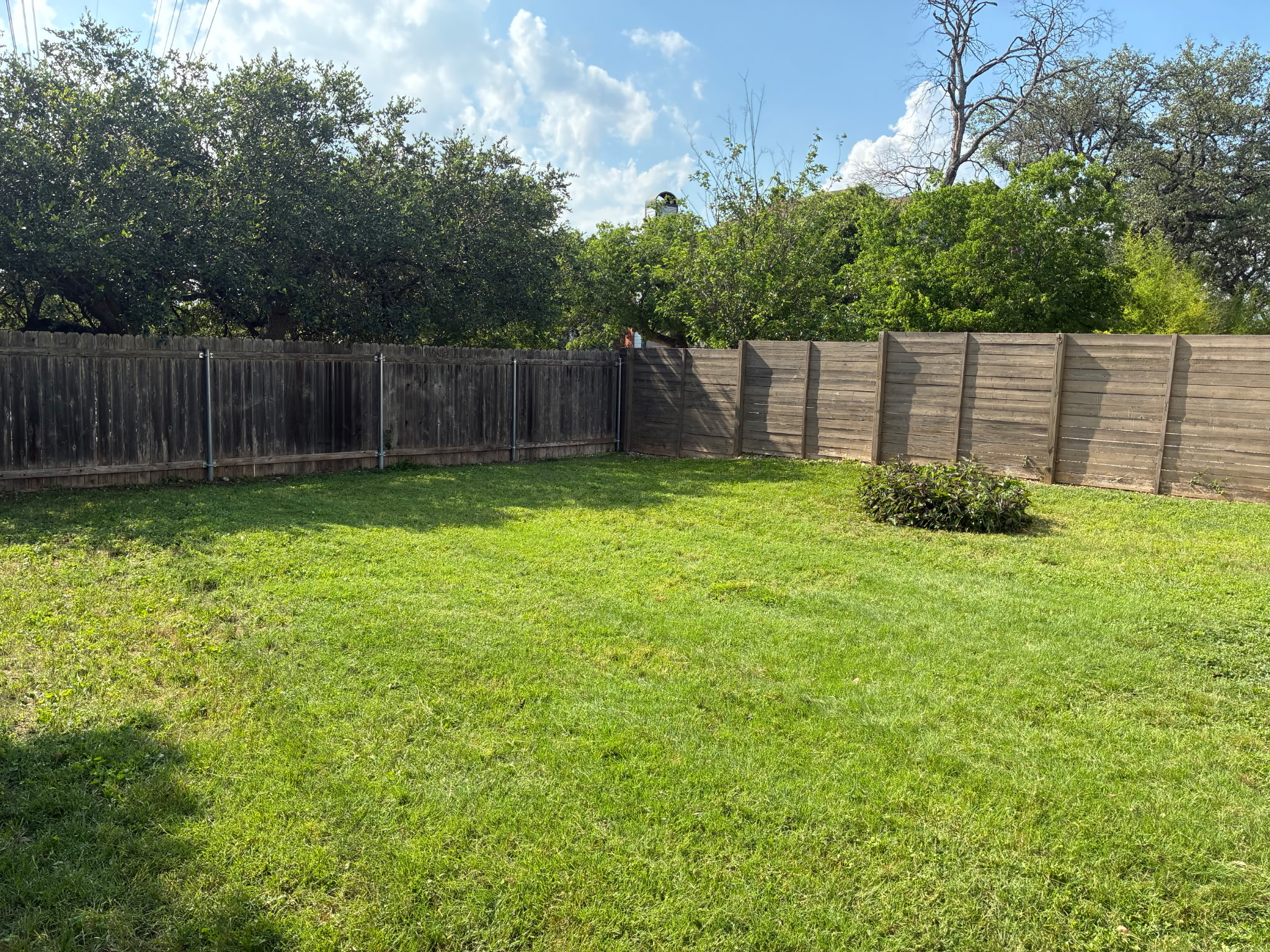 6706 Circle S Road, Unit B Austin, TX 78745 - Photo 5 of 18 Mature trees frame a private, fully fenced grassy yard perfect for outdoor relaxation.