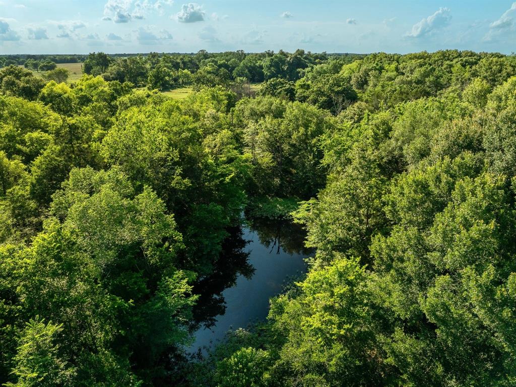 Na Malone Road Midway, TX 75852 - Photo 4 of 25 Gallery Image 4