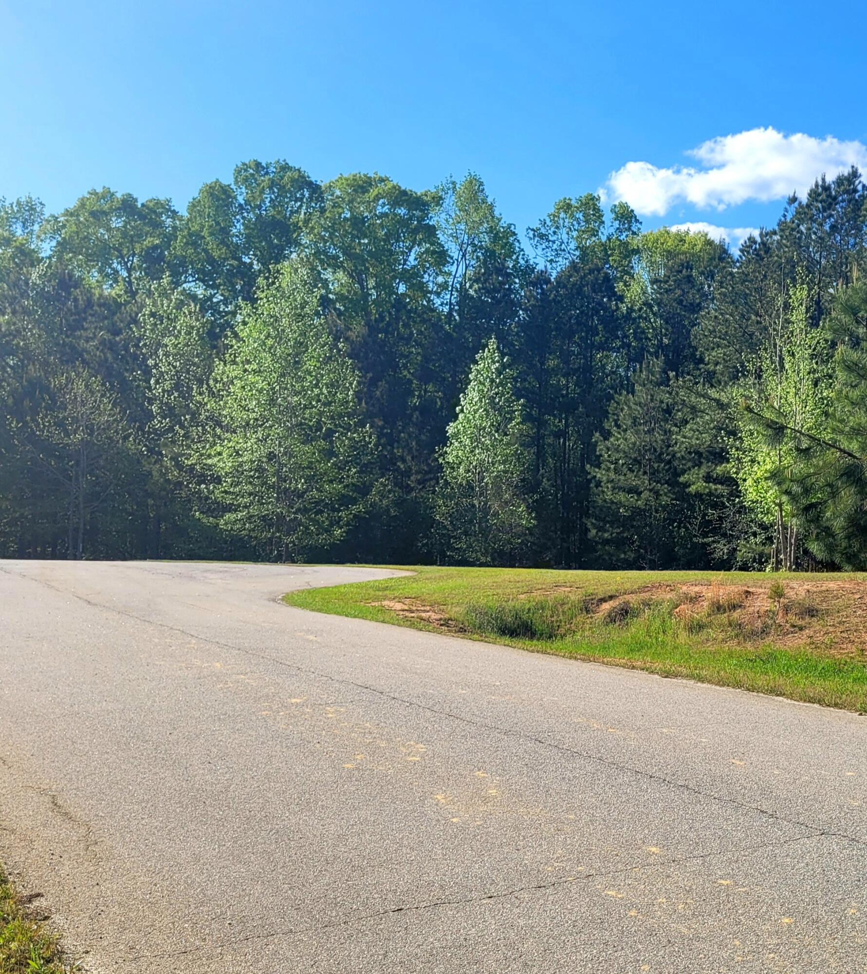 1070 Cody Trail Tignall, GA 30668 - Photo 2 of 14 20250412_173606