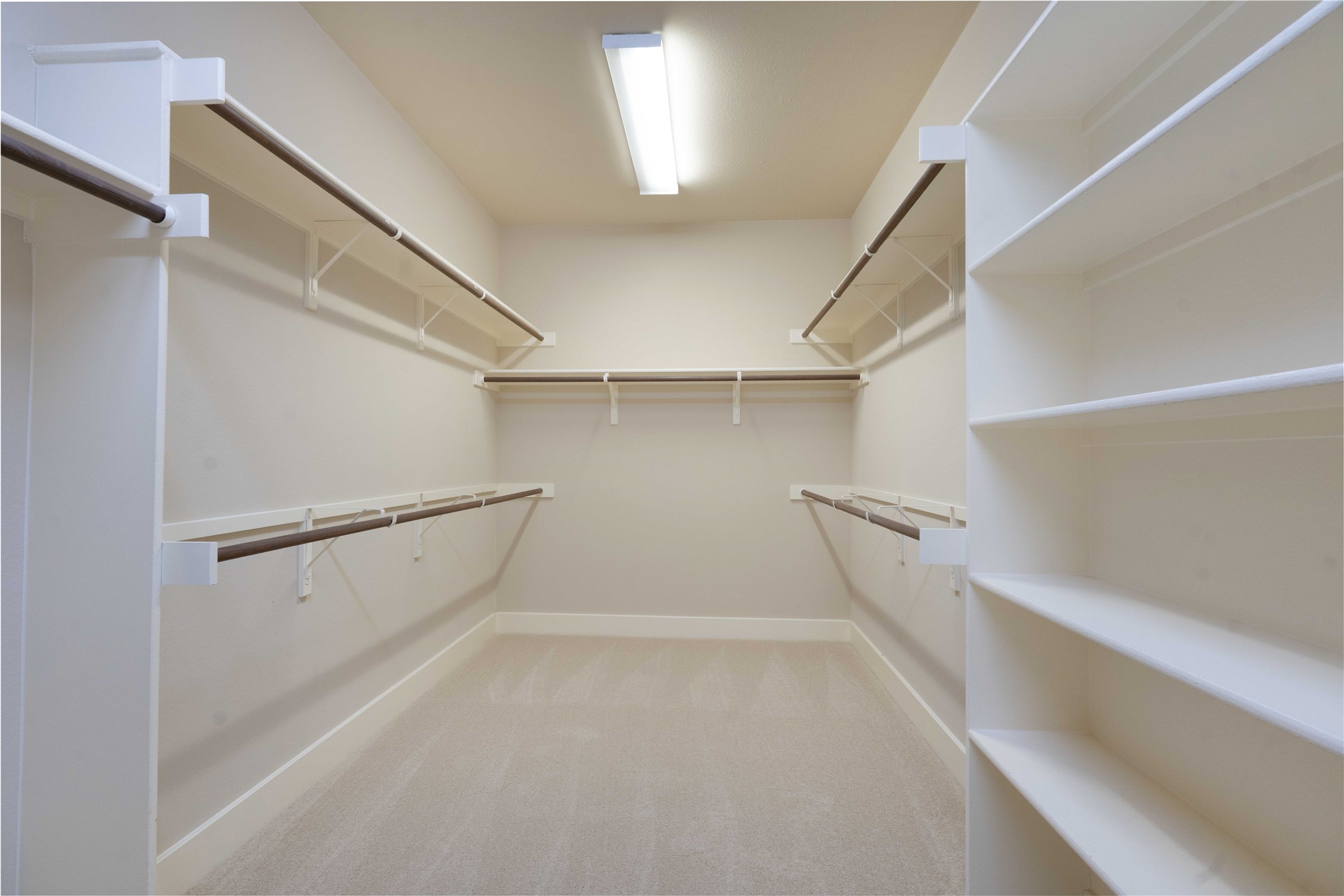 210 Rivulet Lane Austin, TX 78738 - Photo 17 of 28 A well-organized walk-in closet features ample shelving and hanging rods for extensive storage.