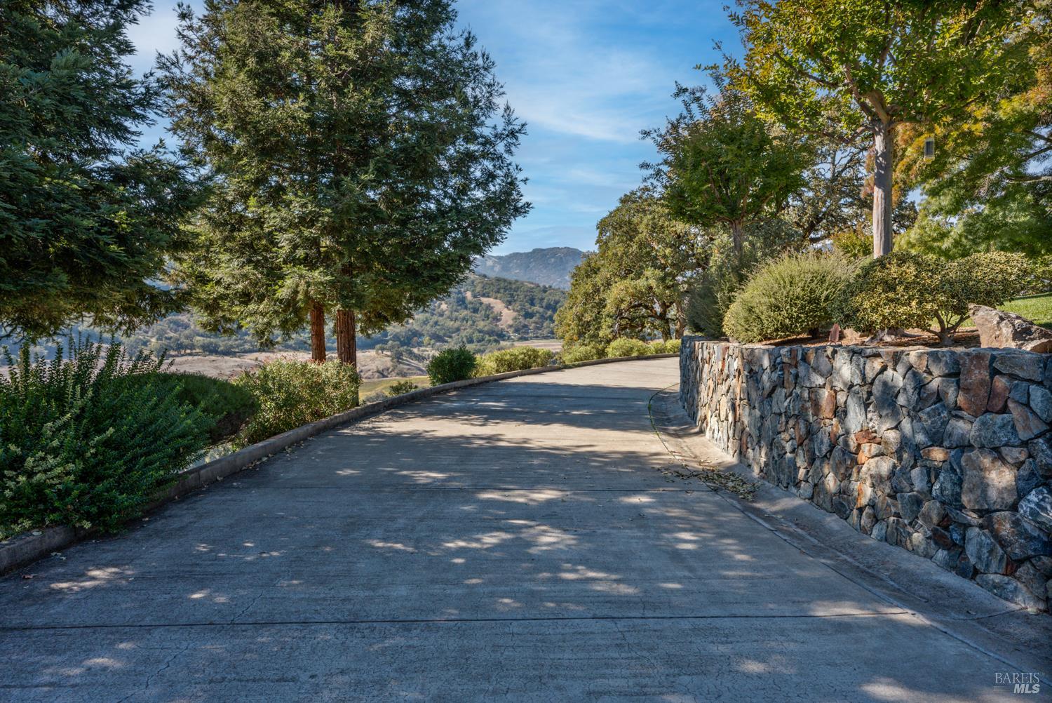 241 Henry Station Road Ukiah, CA 95482 - Photo 63 of 76 a view of a yard with plants and trees