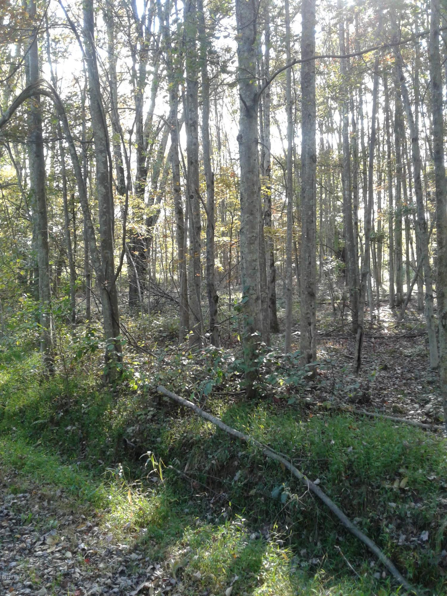 Lot 49 Long River Road Newfoundland, PA 18445 - Photo 4 of 9