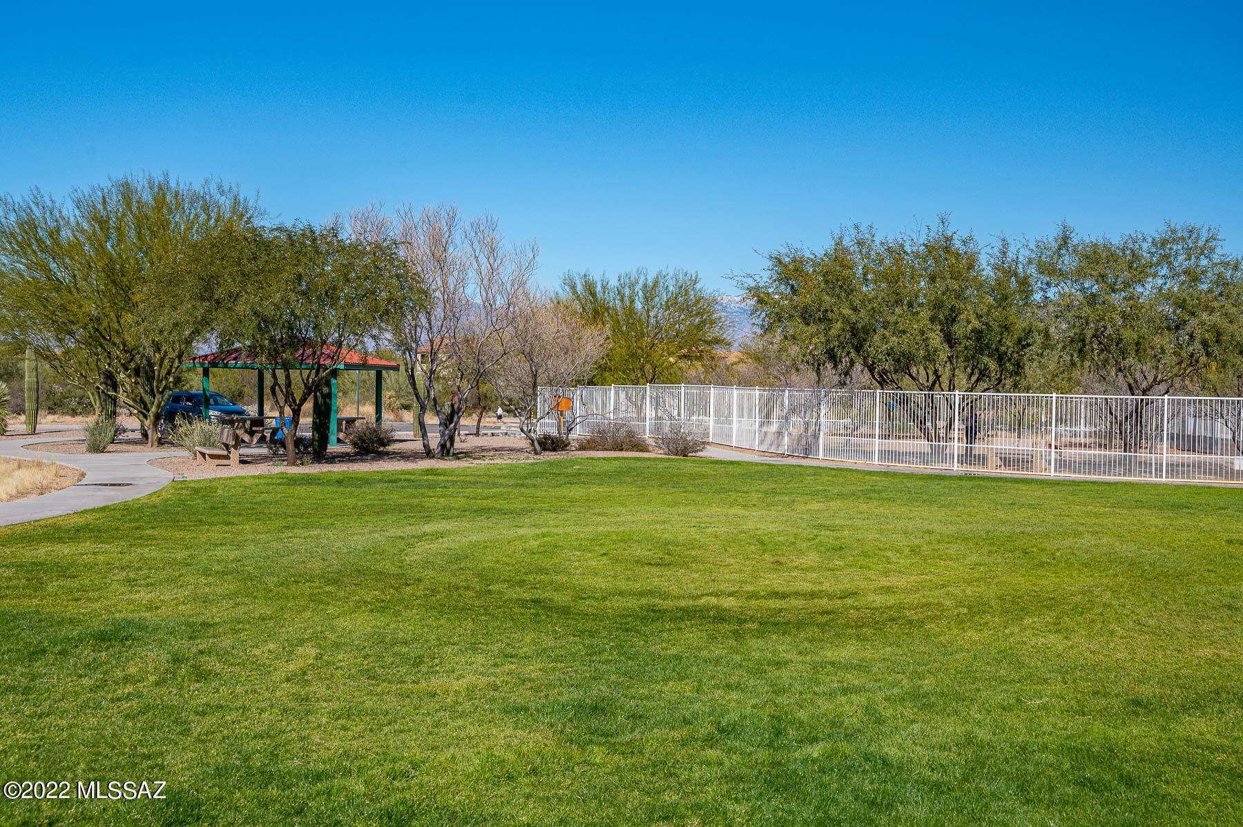10804 East Salsabila Road Tucson, AZ 85747 - Photo 46 of 50 a view of outdoor space with garden and trees