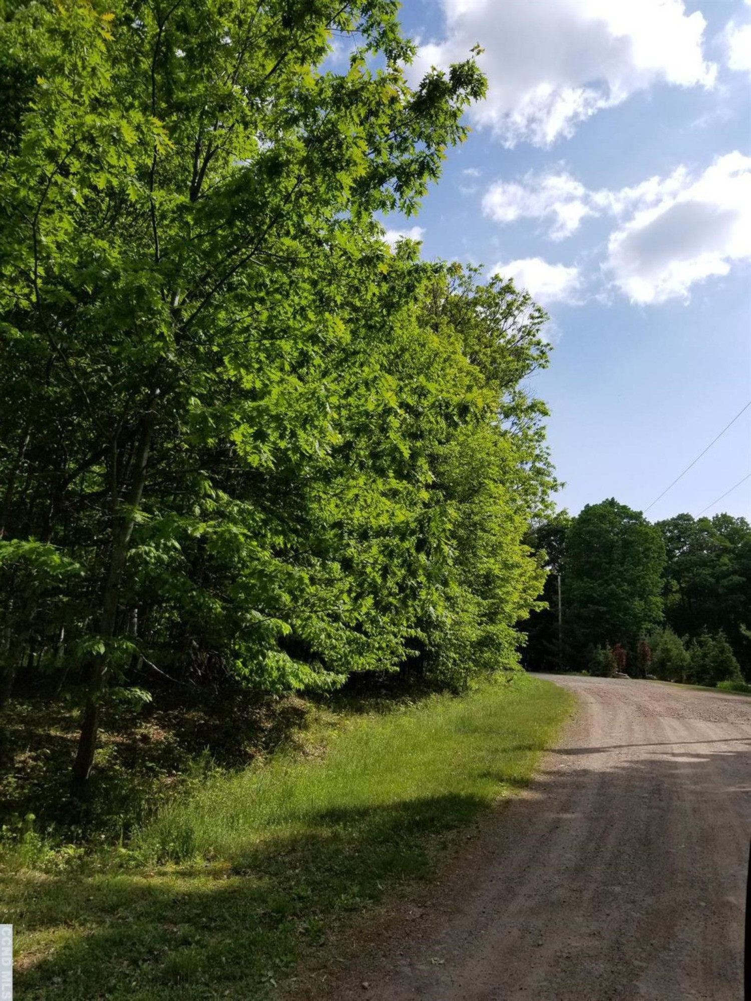 0 Zinno Road Windham, NY 12496 - Photo 5 of 13 Photo 5