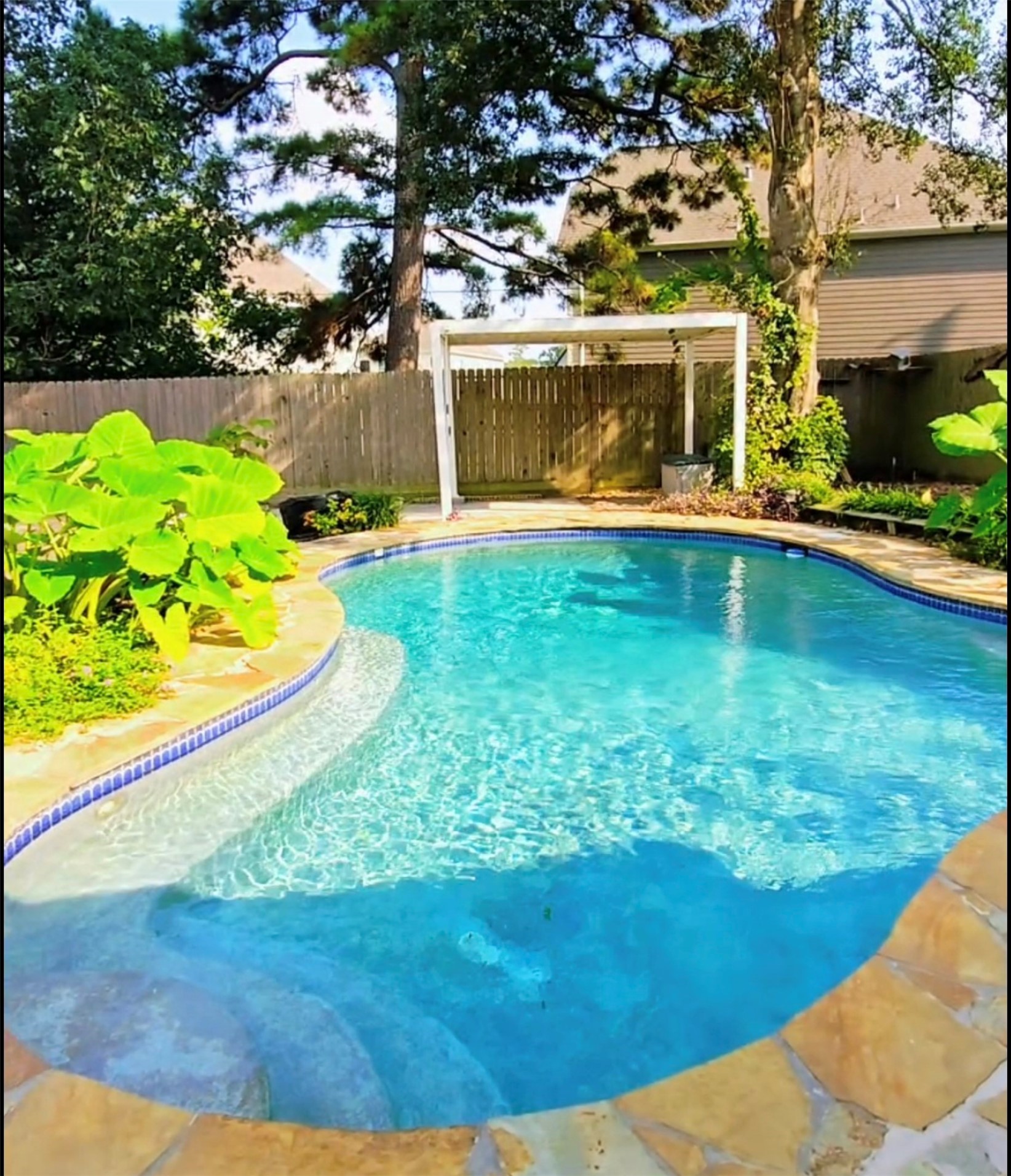 16723 Scenic Gardens Drive Spring, TX 77379 - Photo 2 of 36 beautiful private pool