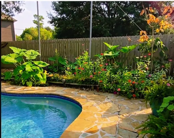 a sink with a potted plant