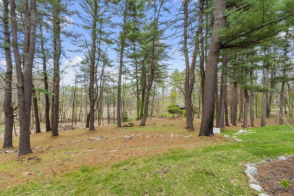13 Eldridge Road Harvard, MA 01451 - Photo 37 of 40 a backyard of a house with lots of green space