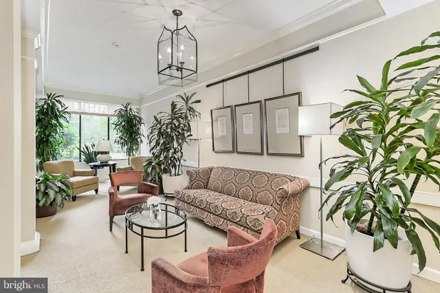 a living room with furniture a chandelier and a potted plant