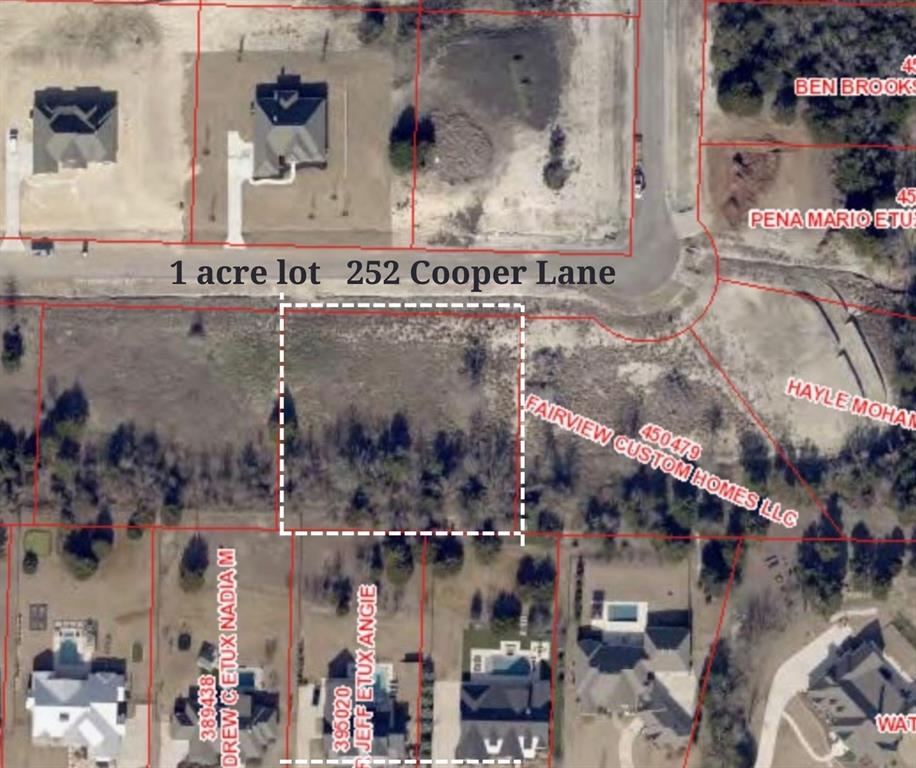 252 Cooper Lane Van Alstyne, TX 75495 - Photo 5 of 5