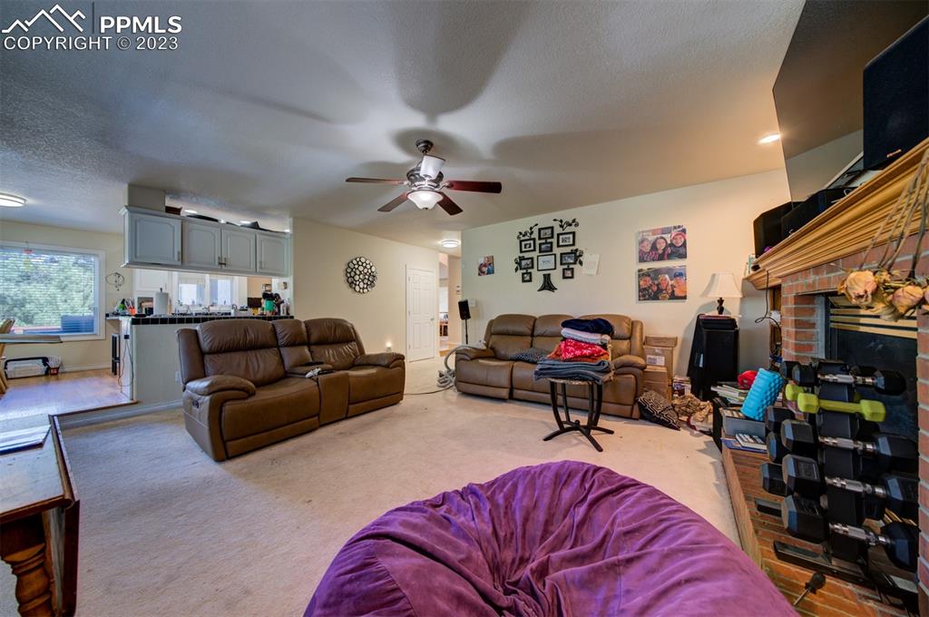 20210 Sheriffs Cove Monument, CO 80132 - Photo 12 of 38